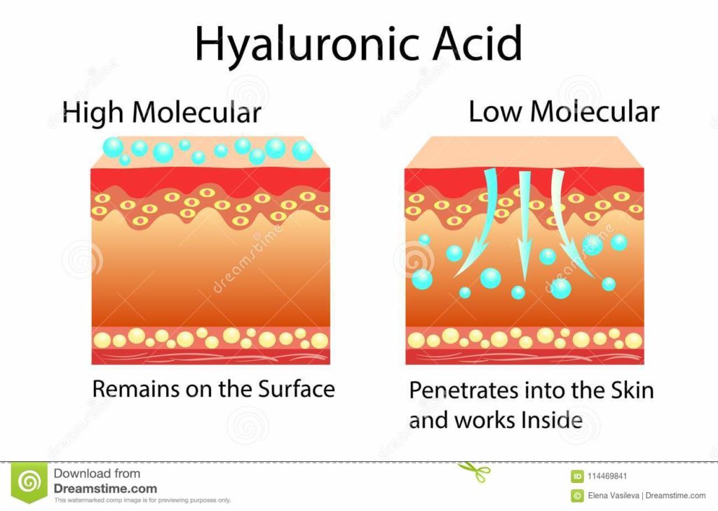 Acide hyaluronique de bas poids moléculaire – DORRY