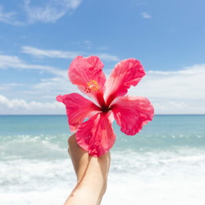 Fragrance Fleur d'Hibiscus -100ML